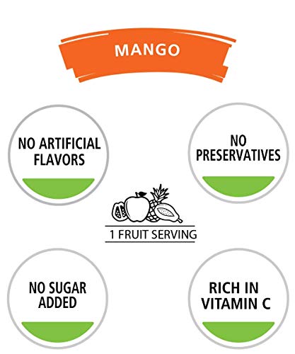 Ceres Mango Fruit Juice Blend 