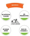 Ceres Mango Fruit Juice Blend 