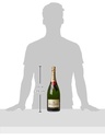 Moet & Chandon Imperial Brut Champagne 150cl