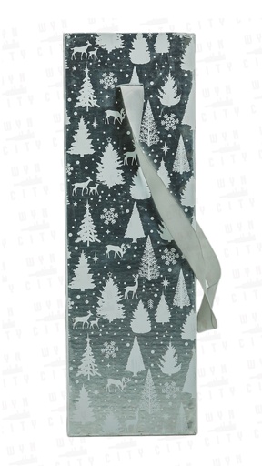 Silver Gift Bag